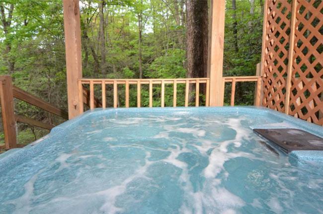 #3690 Bear Creek Lodge Hatchertown Exteriér fotografie